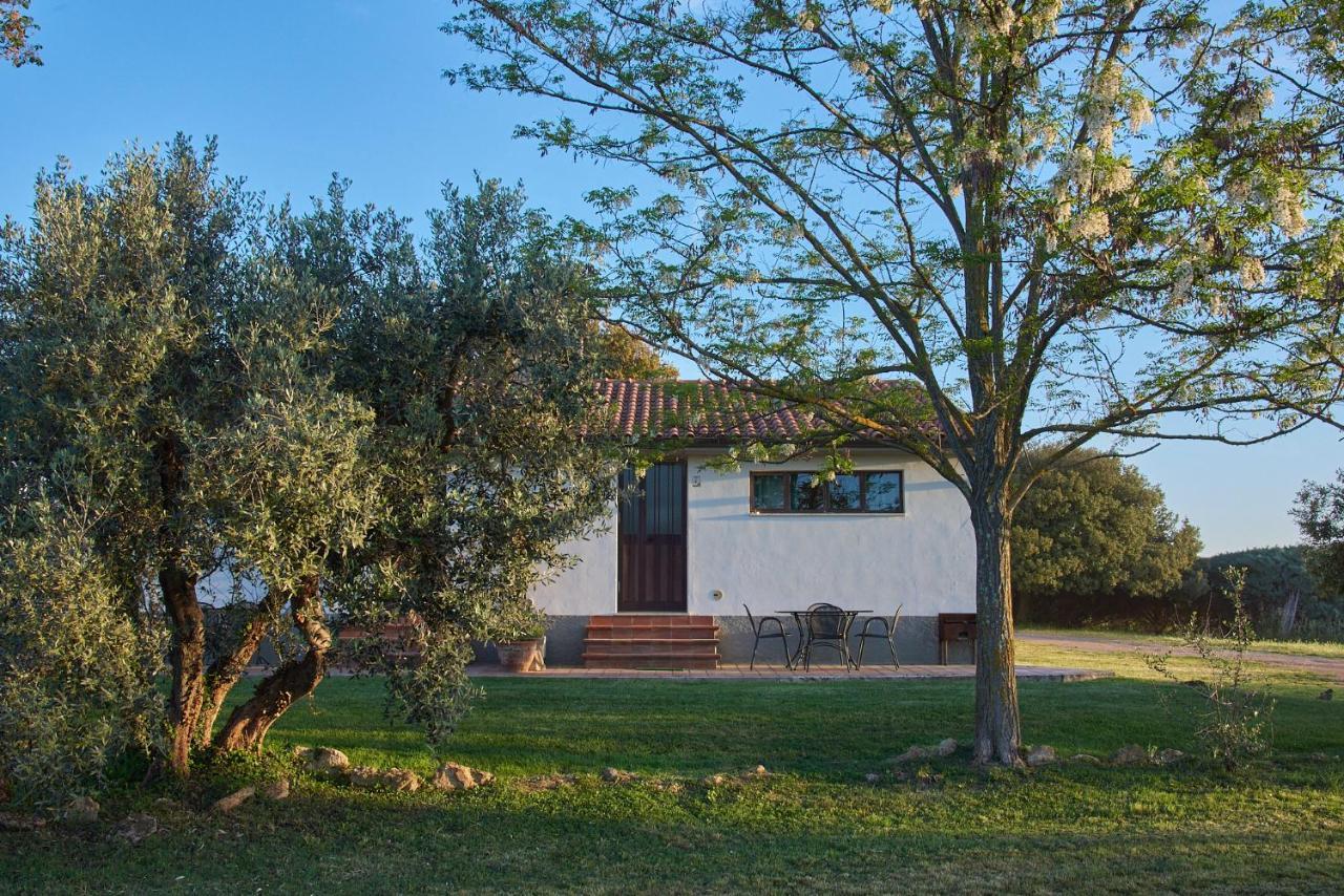 Agriturismo Tesorino 마사마리티마 외부 사진