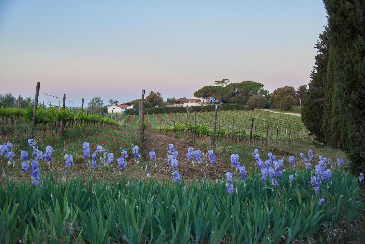 Agriturismo Tesorino 마사마리티마 외부 사진