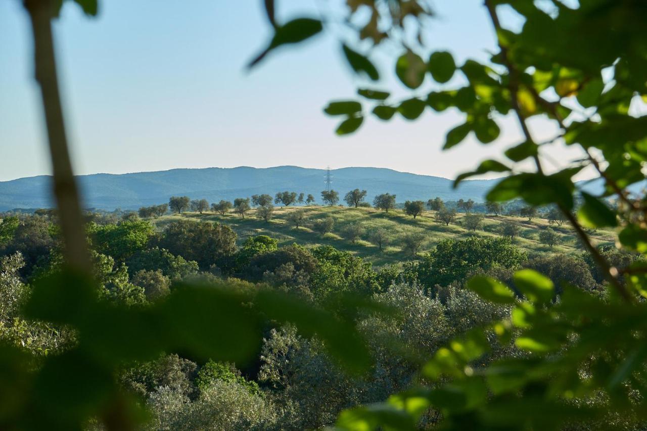 Agriturismo Tesorino 마사마리티마 외부 사진